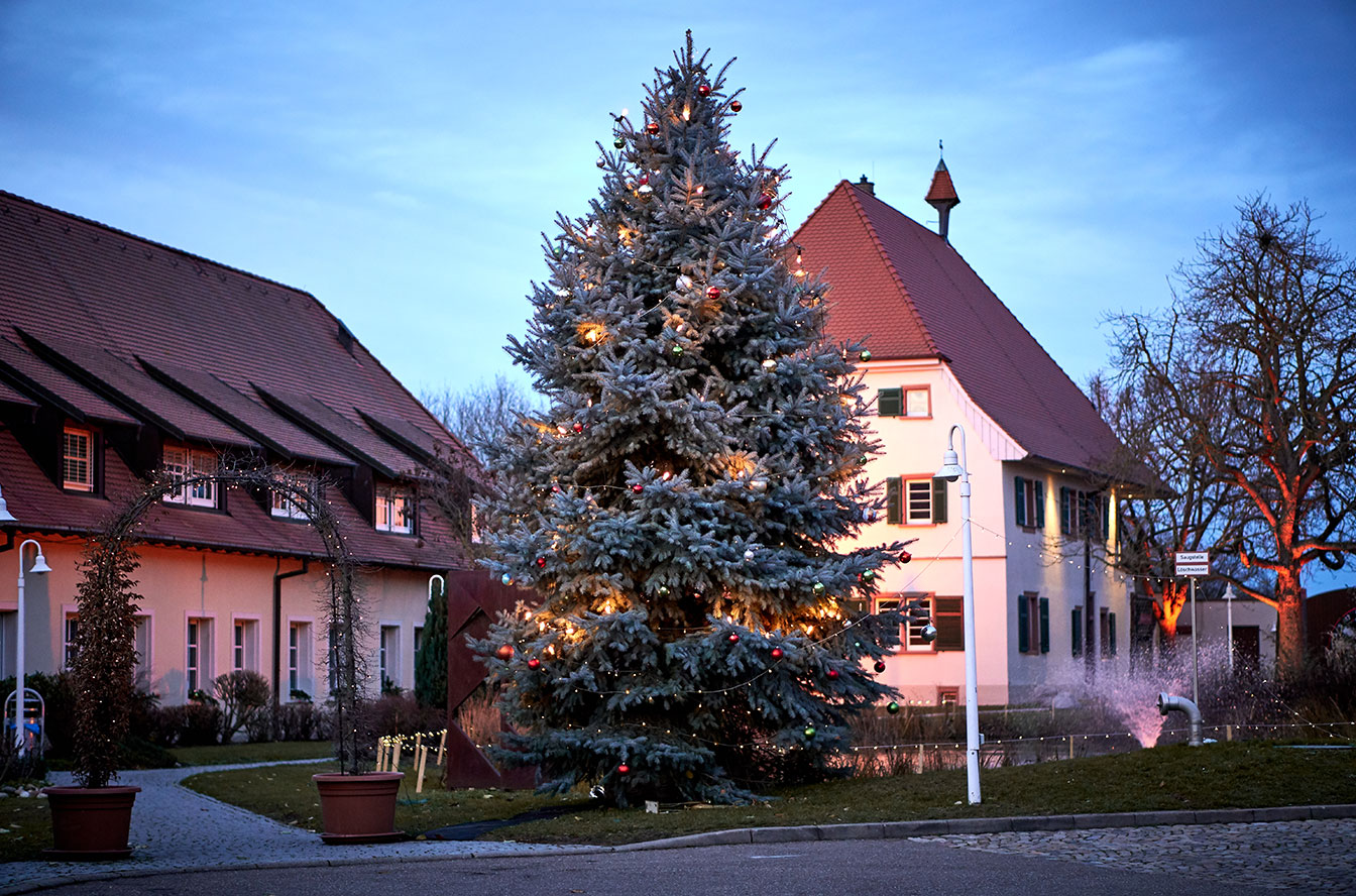 Weihnachtsbaum